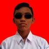 Avatar of 206673