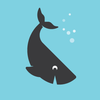 Avatar of HappyWhaleVFX