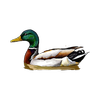 Avatar of Waterfowl Games