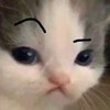 Avatar of Exebier