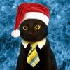 Avatar of Pokronyasud84