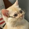 Avatar of H_m_lu