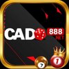 Avatar of cado888net