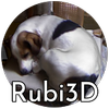Avatar of Rubi3D