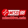 Avatar of miso88vnasia