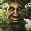 Avatar of mistorh