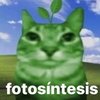 Avatar of jopeir