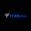 Avatar of TF88