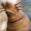 Avatar of randerl