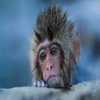Avatar of ggggmg174