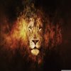 Avatar of fizzy_yam
