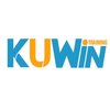 Avatar of Kuwin – Link Truy Cập Nhà Cái Kuwin Mới Nhất