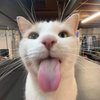 Avatar of Migle_Staskeviciute
