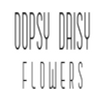 Avatar of Oopsy Daisy Flowers