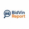 Avatar of bidvinreport