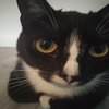 Avatar of PiotrW