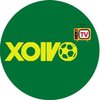 Avatar of Xoivo