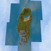 Avatar of enderdragon025