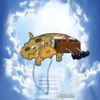 Avatar of goofbean-dontusethissitethatmuch