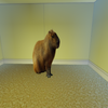 Avatar of joshplayz12