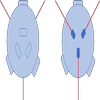 Avatar of chenly228