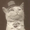 Avatar of sektorsnok