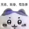 Avatar of 232332333