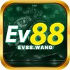 Avatar of ev88wang