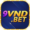 Avatar of 9vnd