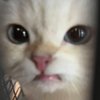 Avatar of heynass3ss