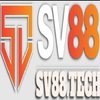 Avatar of tbdatasv88