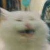 Avatar of sssssc