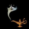 Avatar of Zhuier