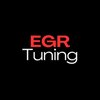 Avatar of egrtuning.com