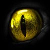 Avatar of GrudgeSnake