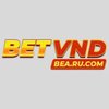 Avatar of BetVND