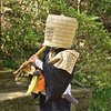 Avatar of Nagamasa.Inomata