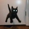 Avatar of luccapv