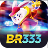 Avatar of br333co