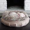 Avatar of dogbed12