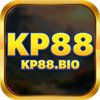 Avatar of kp88 bio