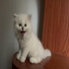 Avatar of Mr_chen