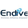 Avatar of Endive Software