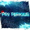 Avatar of ProParkour5895