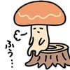 Avatar of task5622
