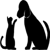 Avatar of ZQY111