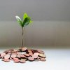 Avatar of beentherefinancials1