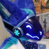 Avatar of DatBlueHusky