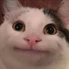 Avatar of whitemgg