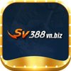 Avatar of sv388vn1